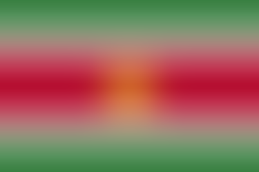 The Ultimate Guide to Suriname (Paramaribo) Drone Laws & Rules