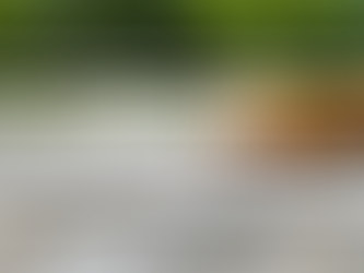 The Ultimate Travel Guide to Mai Chau, Vietnam