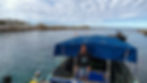 Glass bottom boat tour in Bicheno