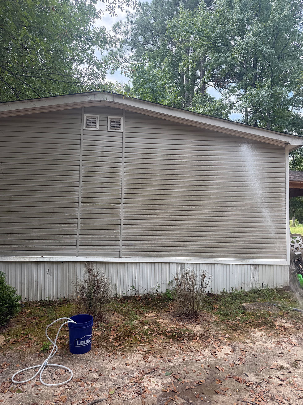 house exterior before professional soft wash