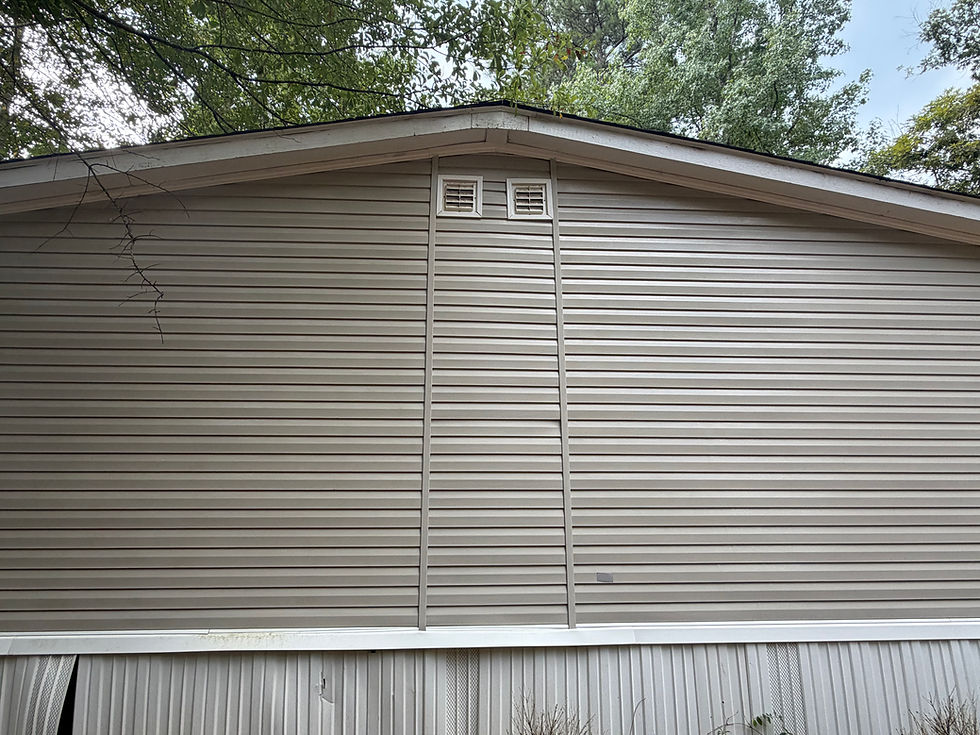 house exterior afterprofessional soft wash