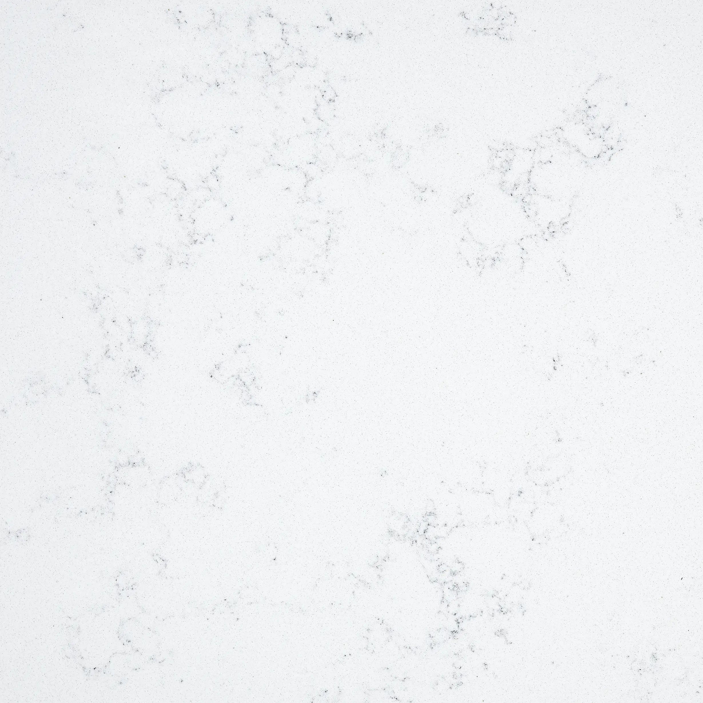 Carrara bianca T4042