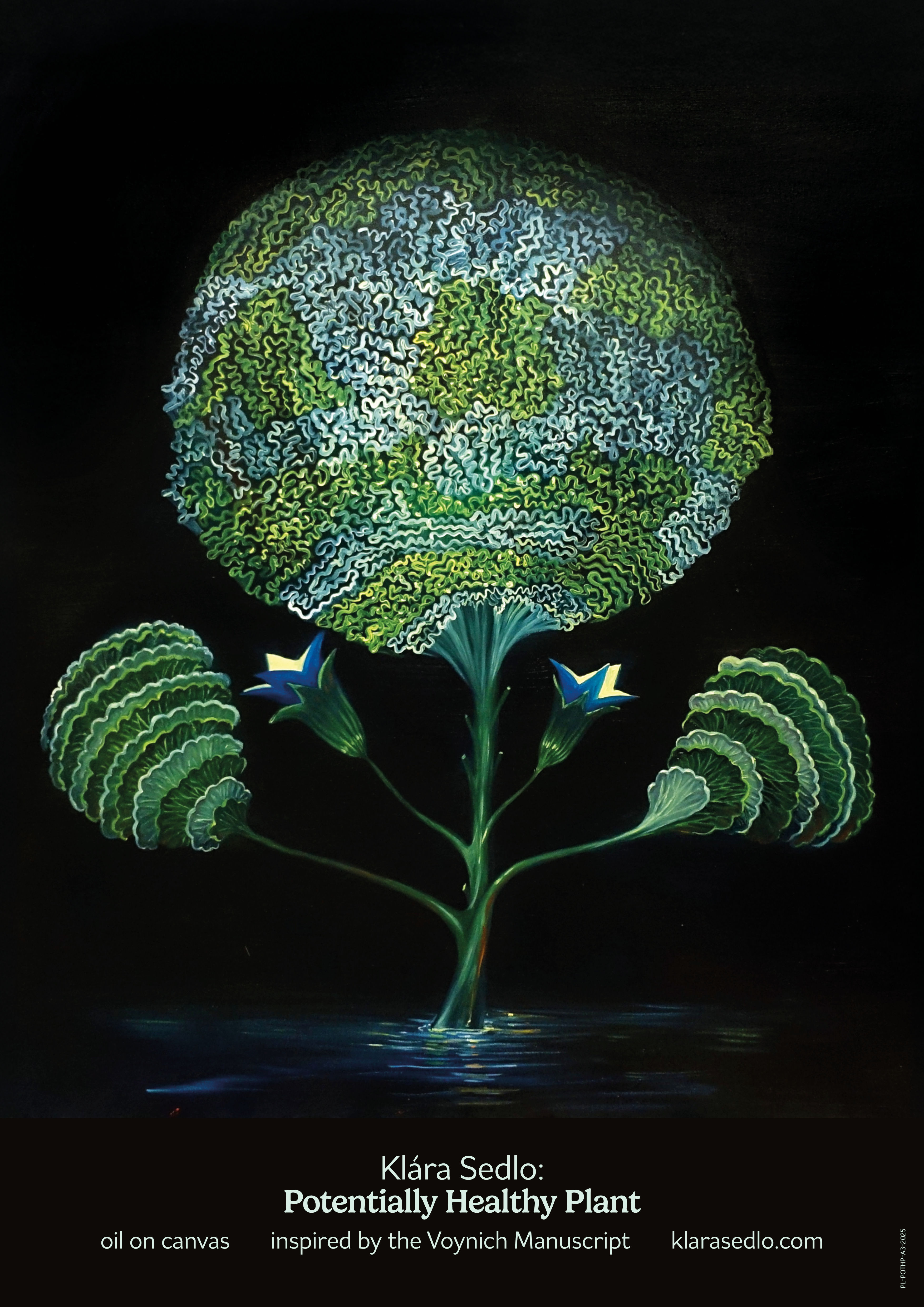 Potentially Healthy Plant - plakát A3