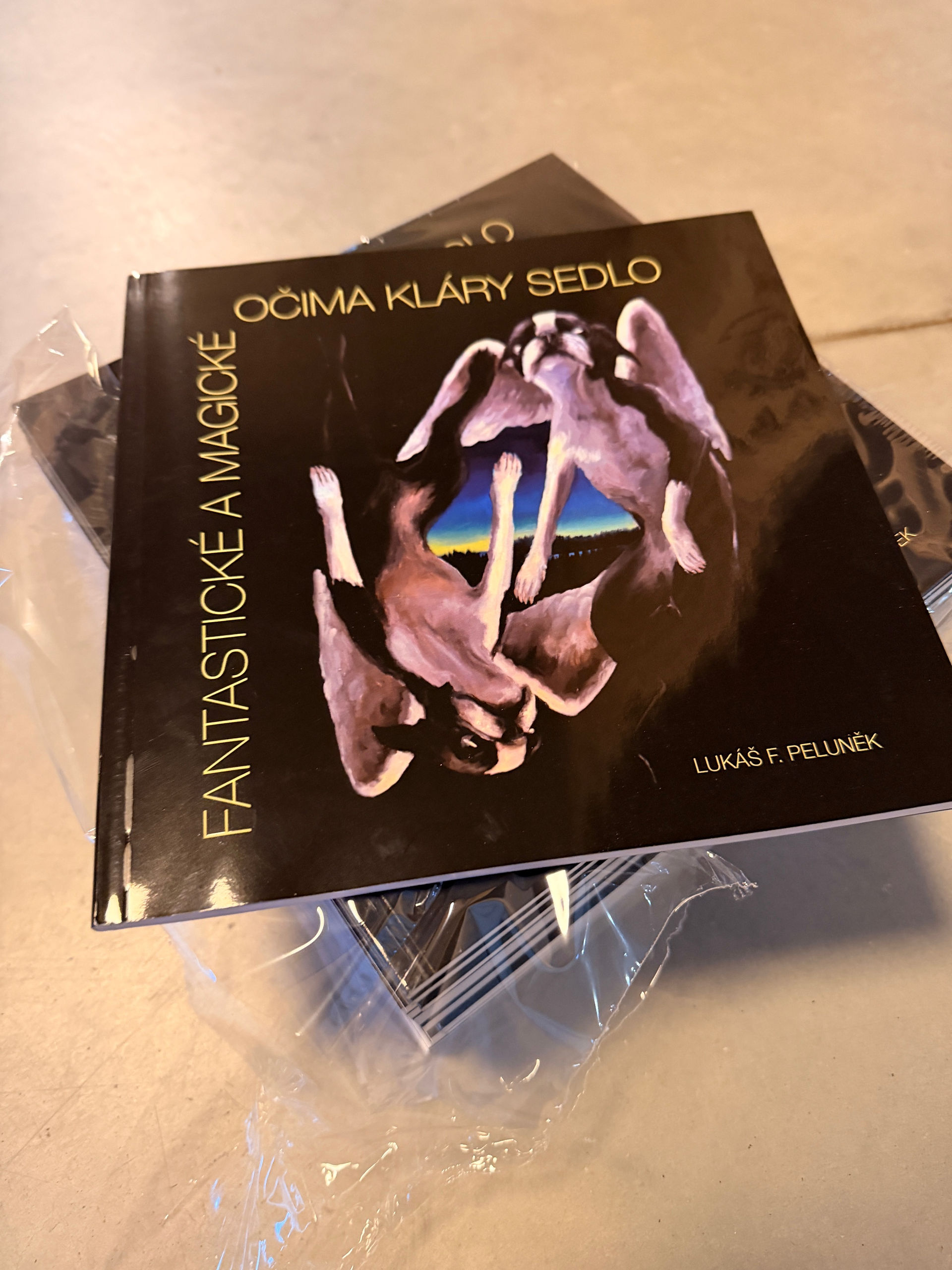 Monografie Fantastické a magické očima Kláry Sedlo s reprodukcemi obrazů inspirovaných symbolikou a mytologií
