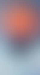 Afirmační karta Voynich V – „A winter plant“, autorská rostlinná ilustrace podle Voynichova rukopisu.