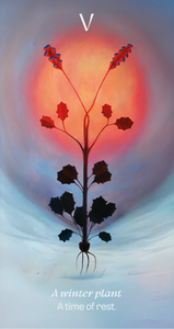 Afirmační karta Voynich V – „A winter plant“, autorská rostlinná ilustrace podle Voynichova rukopisu.