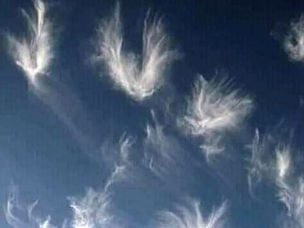 Angelic Messengers Bringing Magic