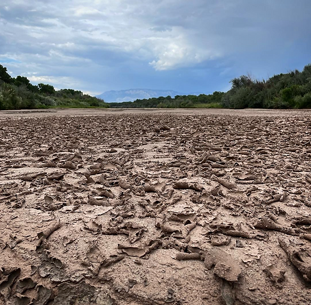 Screen Shot 2022-08-30 at 9.45.19 PM.png