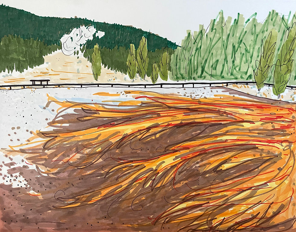 Tomorrow's Dinosaurs (Geyser Field)