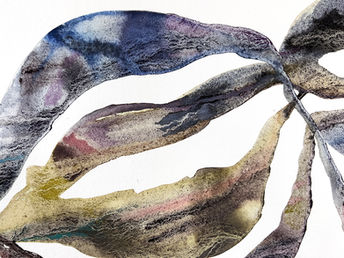 echo)zero)stone 8 detail 2 small.jpg