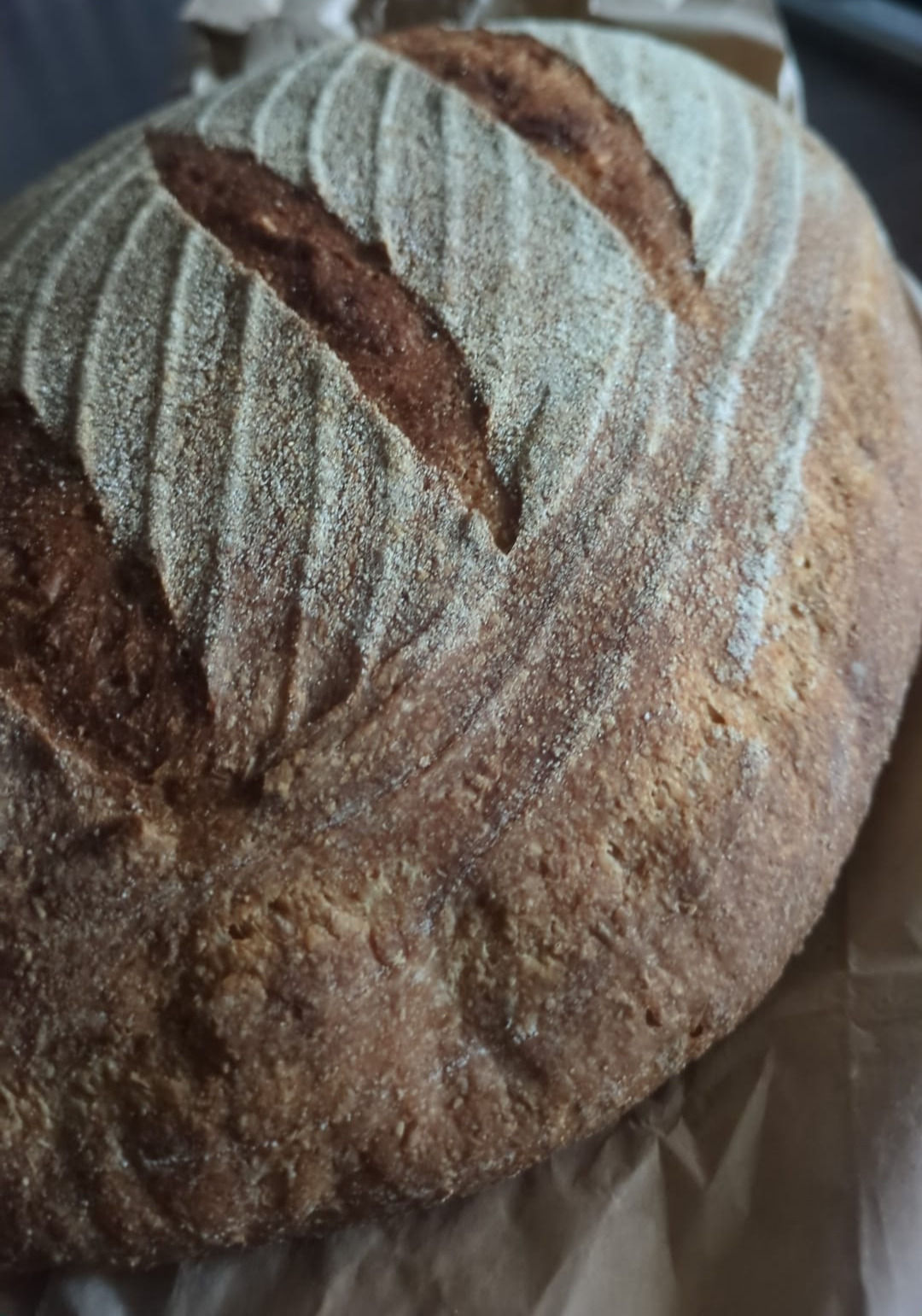 ‘Arf ‘n’ ‘Arf Wholemeal Sourdough Basic
