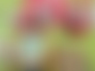 2024 07 20 苗青捐血活動 慈善公益