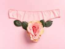 An image analogous to the vagina, womens knickers with a flower