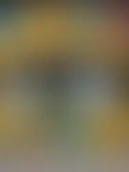 The Ultimate Guide to Finding the Best Backdrops for Travel Photos