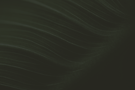 CAPA copiar.png