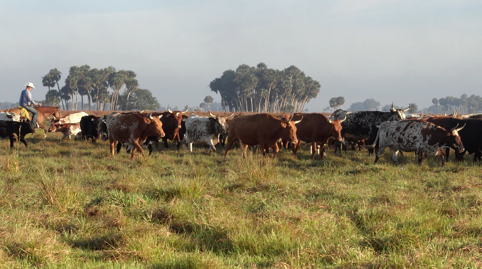 Cowboys and Scientists  Director Biography - Eric Bendick  (8:00 Min)