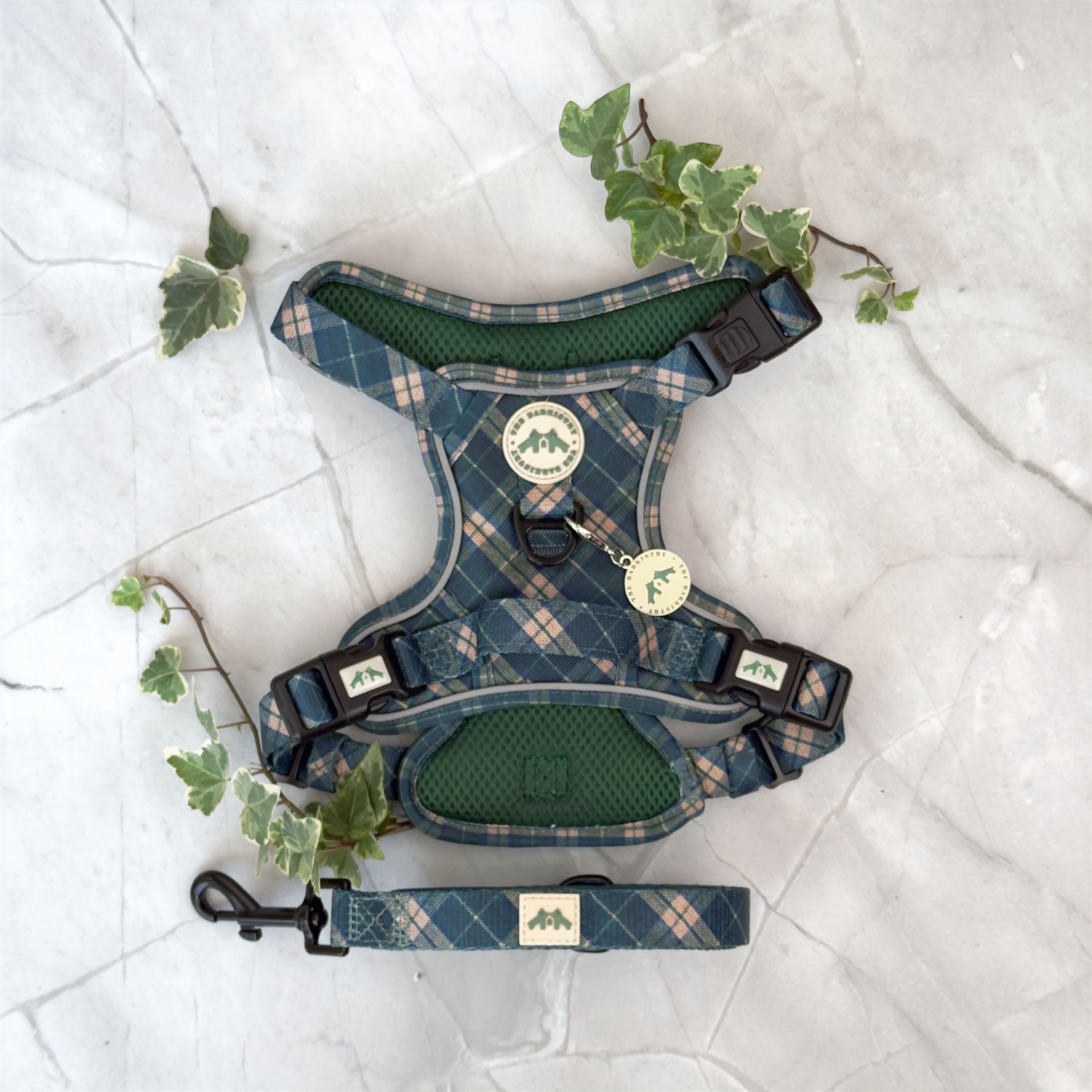 Evergreen Harness & Leash Set