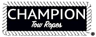 Champion no background