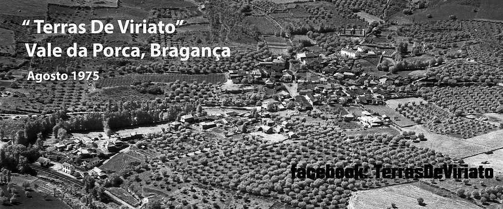 Vale da Porca, Bragança, 536-2