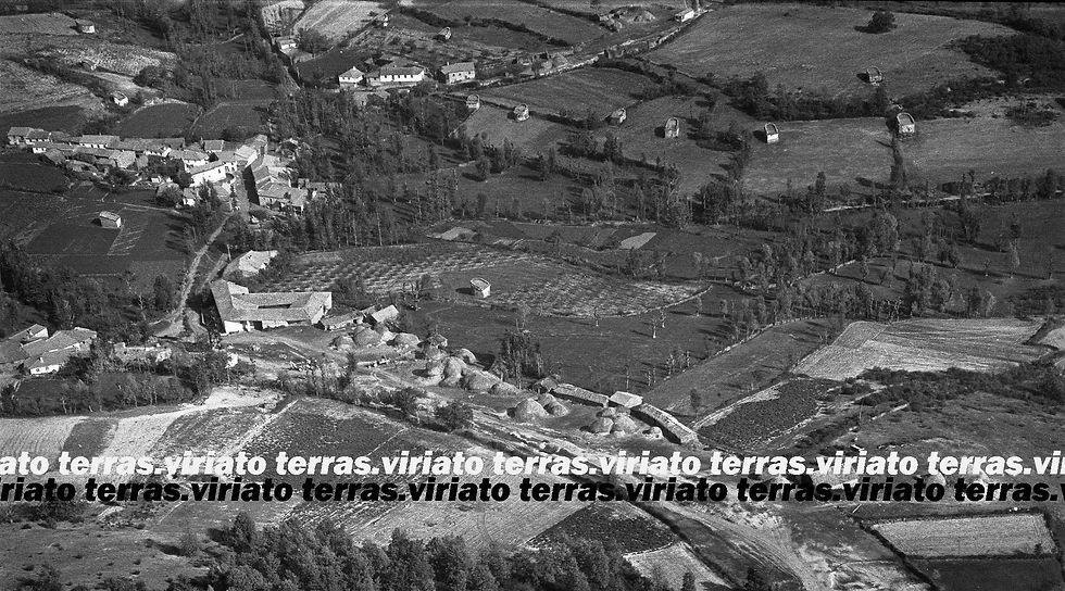 S.Julião de Palácios, 1975, refª687