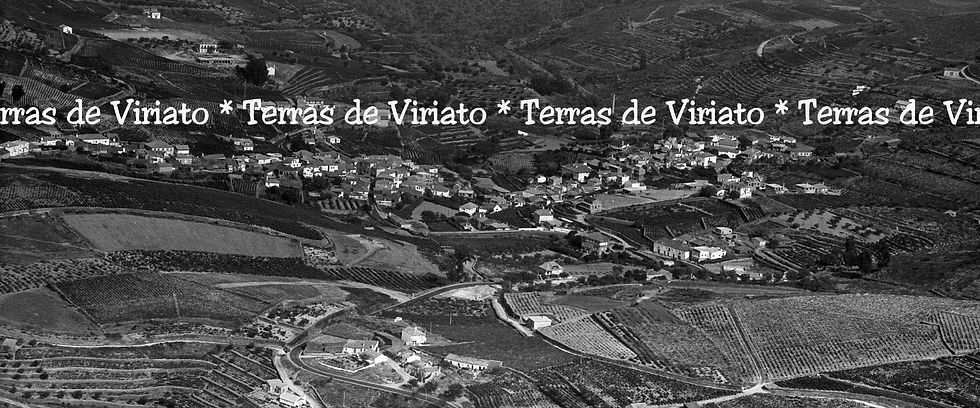Ervedosa do Douro, Viseu