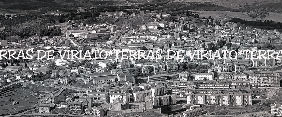# GUARDA_JPEG(88,7) 120x50, cópia#