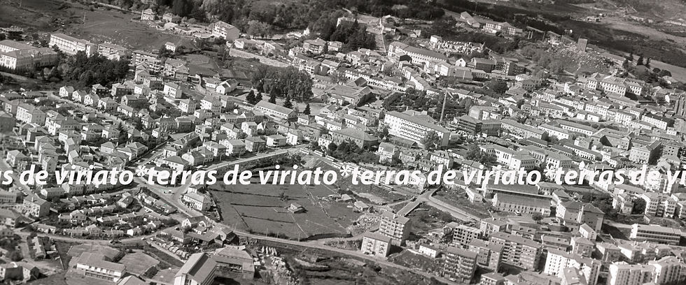 # GUARDA_JPEG(88,7) 120x50, cópia