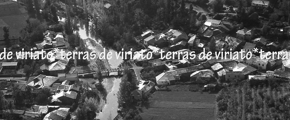 Varge-Refª 694-3, tela 120x50