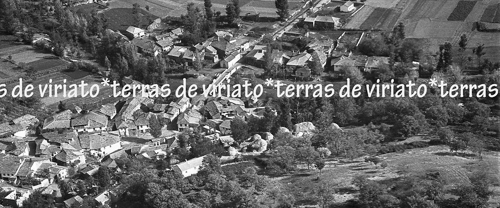 Varge-Refª 694-7, tela 120x50