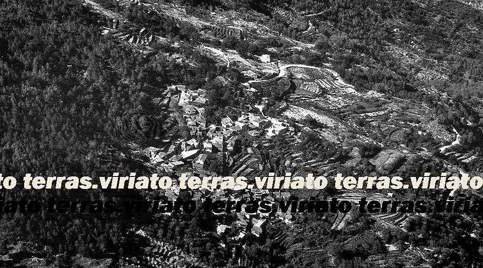 Paradela, Viseu, refª 892