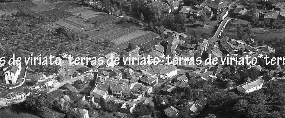 Varge-Refª 694-8, tela 120x50