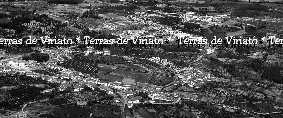 Moimenta da Beira, Viseu