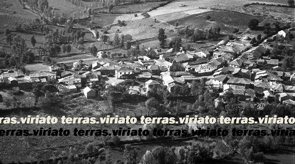 Sacoias, Bragança, 1975, refª 695-3