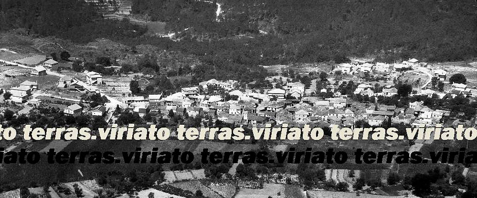 Vila Longa, Viseu