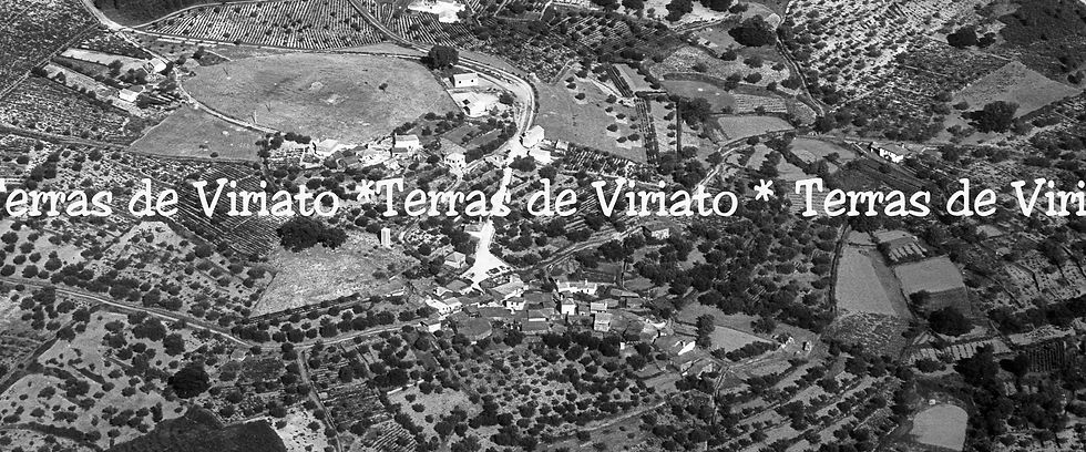Vale de Penela, Viseu