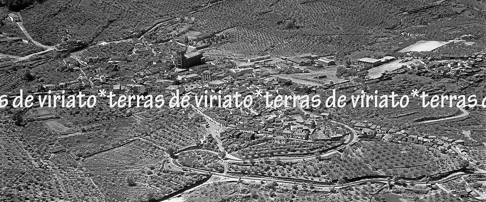 Torre_de_Moncorvo_Refª_222-4,_120x50