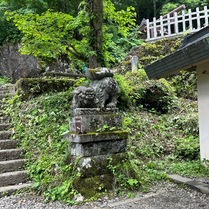 九頭龍神社奥社の狛犬です