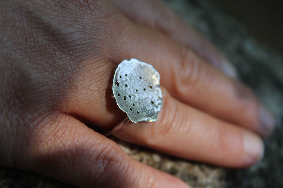 Thumbnail: coastline ring