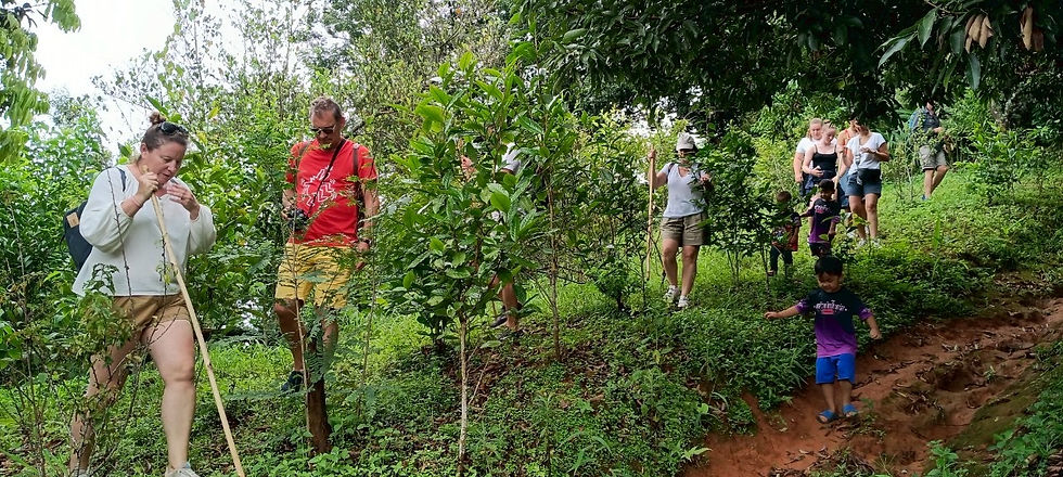 trekking-chiang-rai-by-thailande-evasion.JPG