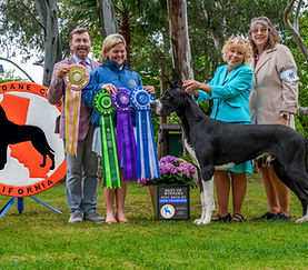 Hudson New Champion photo .JPG