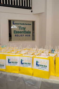 Bundles-of-Care-The-Link-04-12-2026-EMD_3173