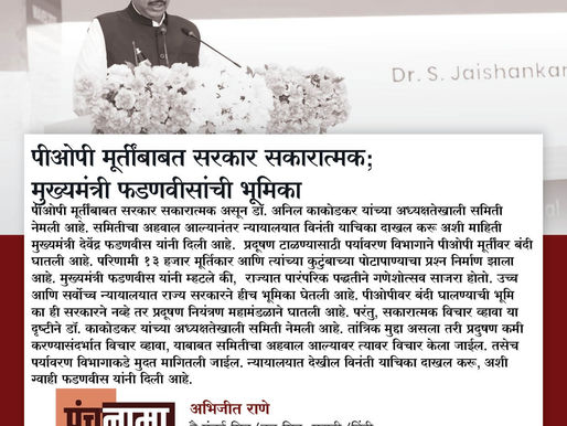 पीओपी मूर्तींबाबत सरकार सकारात्मक; मुख्यमंत्री फडणवीसांची भूमिका