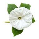 images__3_-removebg-preview.png