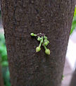 Foto 01.jpg
