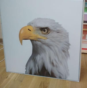 WhatsApp Image 2019-03-15 at 12.27.35.jp