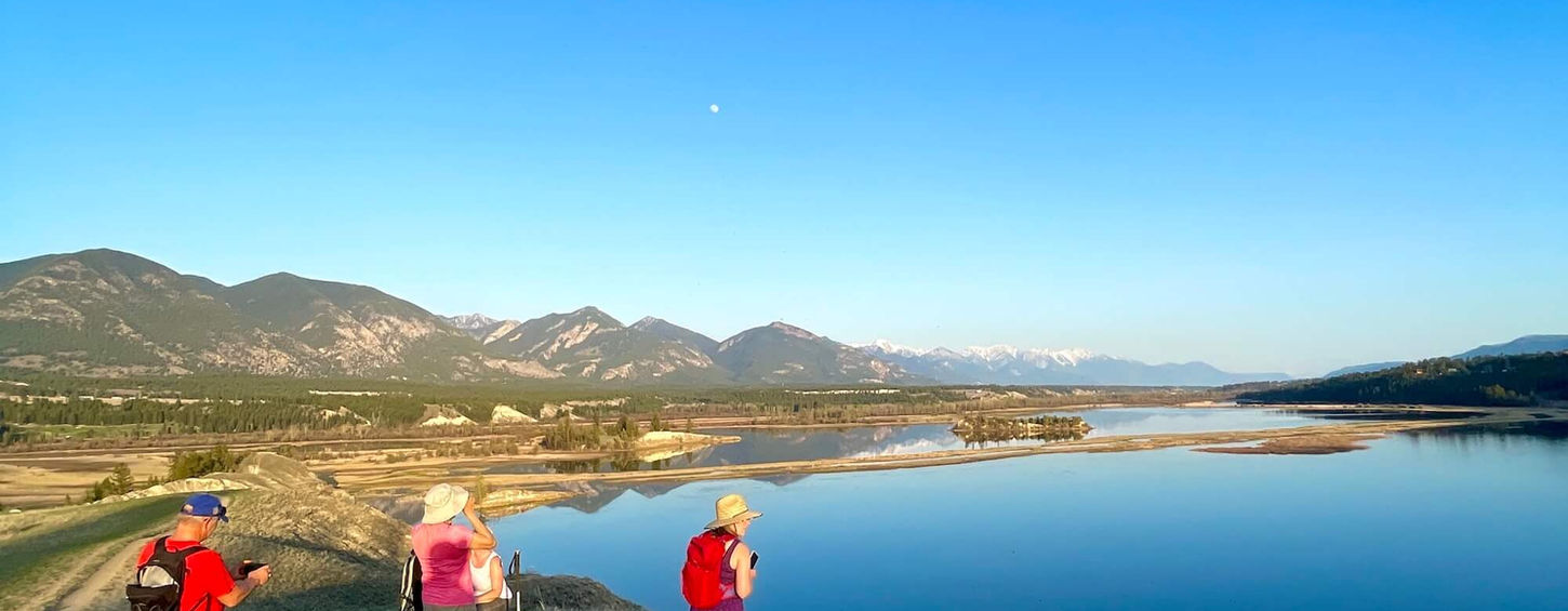Hikers looking at views of wetlands