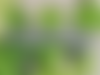 Valley View Apartments