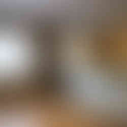 Kitchen at Priscilla Street apartments