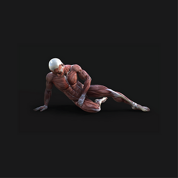 Rehab-03.png