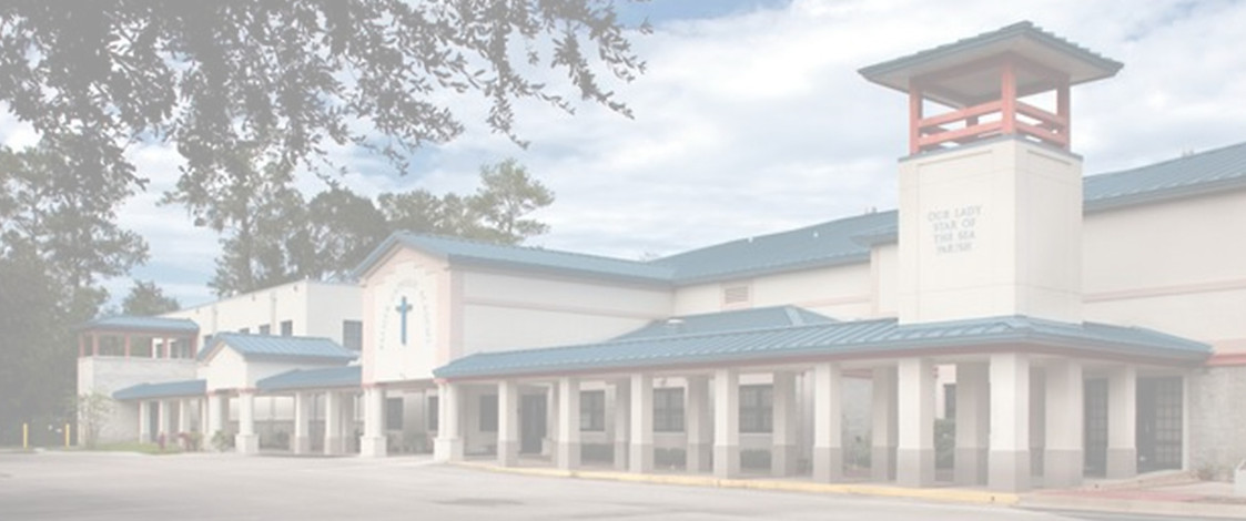 PCA elongated View_edited.jpg